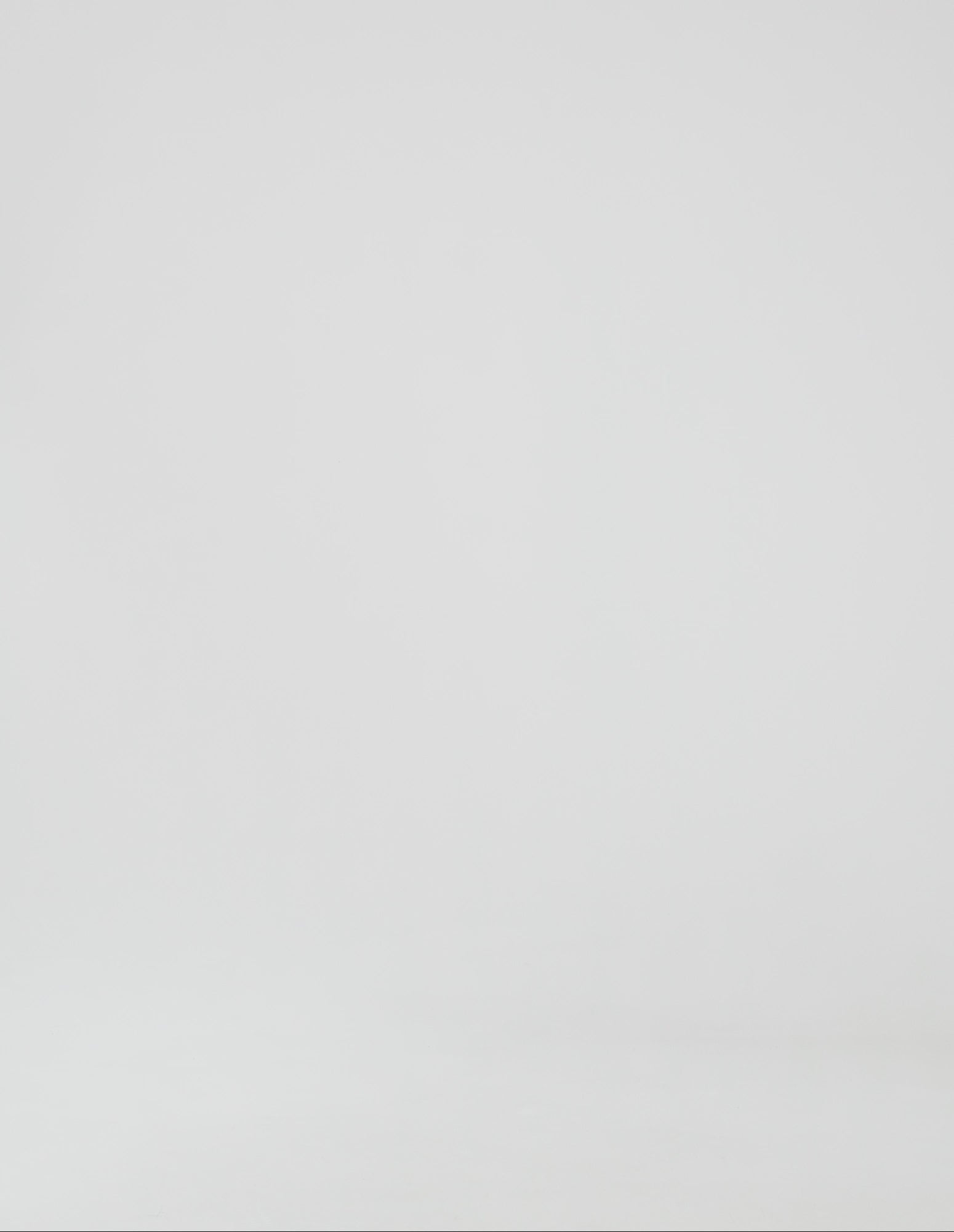 Elm Lobby Pant